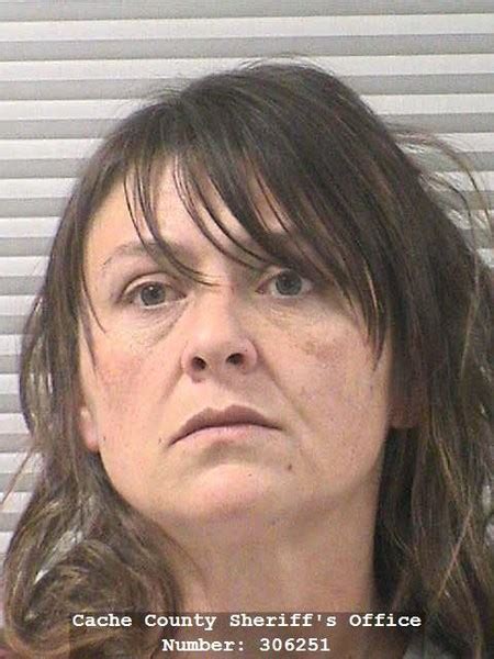 Utah Woman Sentenced To Year In Jail Community Service For Multicar