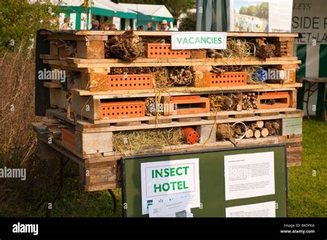 Insect Hotel Vacancies Stock Photo Alamy