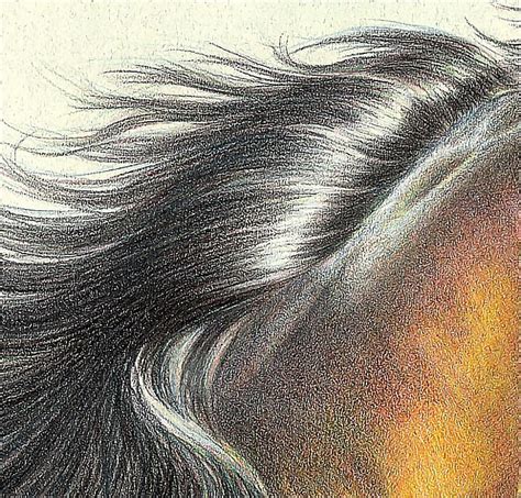 How To Draw Realistic Hair In Colored Pencil