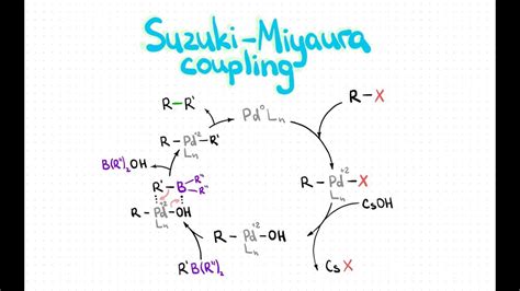 Suzuki-Miyaura coupling. Reaction mechanism, examples, application - YouTube