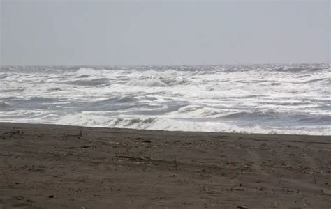 Eel River Wildlife Area, Loleta, CA - California Beaches