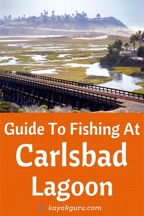 Carlsbad Lagoon | Full Fishing Guide On The Best Places To Catch Fish | Fishing guide, Carlsbad ...