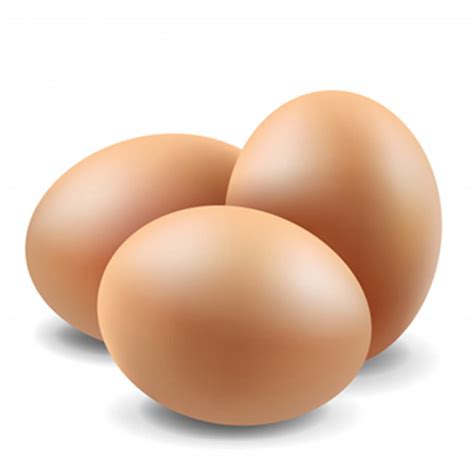 100 Fresh Pure Brown Egg Natural Healthy Rich In Vitamin And Protein At Best Price In Tirupur