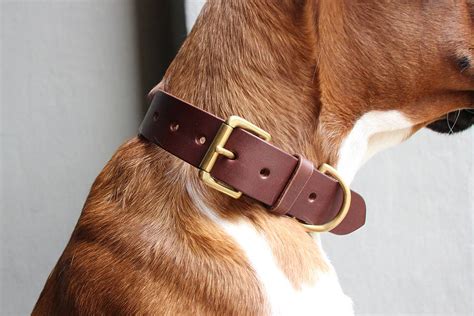 Collier Chien en Cuir Michur Luis différentes Tailles Couleur Marron