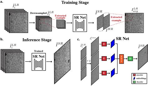 Publications Bartesaghi Lab