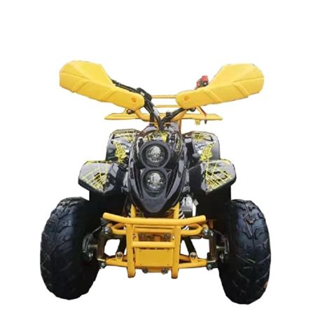 China Custom Fashion Powerful ATV 4 Wheel Quad Bike Adult Motorcycle