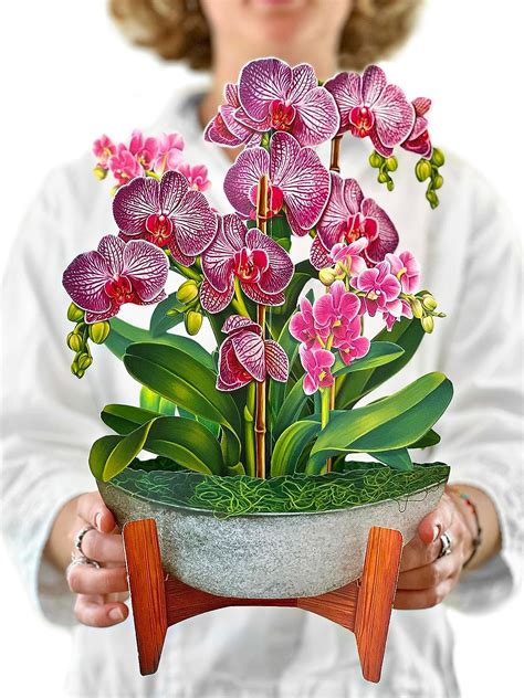 Freshcut Paper Pop Up Cards Orchid Oasis Inch Life Sized Forever