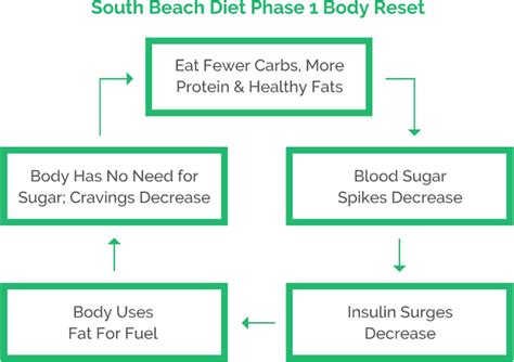 How Does The South Beach Diet Work
