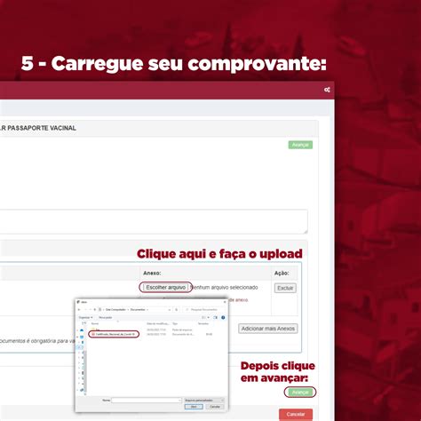 Inclus O Do Passaporte Vacinal J Est Dispon Vel No Minhaufop