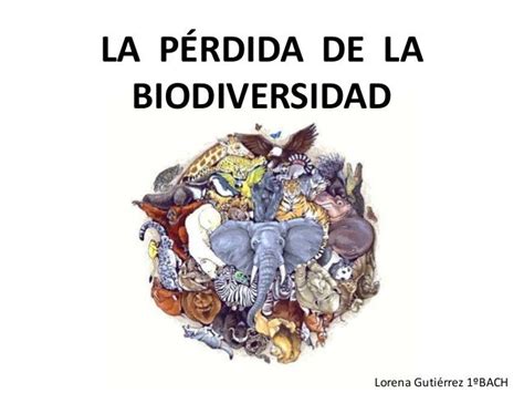 Pérdida De La Biodiversidad