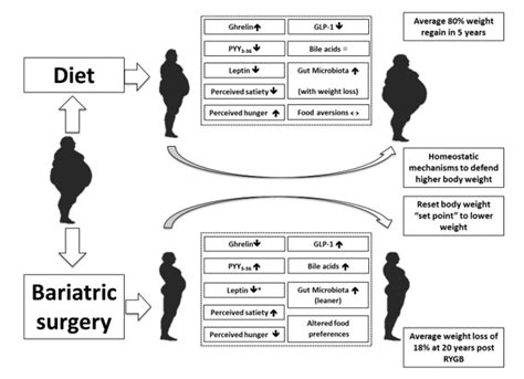 Figure 9 Schematic Diagram Illustrating The Different Endotext