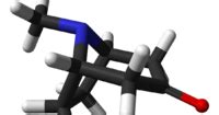 Organic Chemistry The Art And Science Of Total Synthesis Tropinone