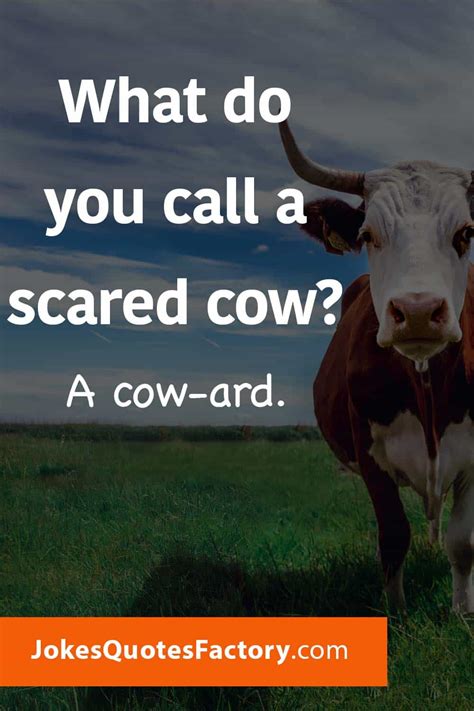 47 BEST Cow Jokes for Kids (with Dad Jokes and Funny Puns)