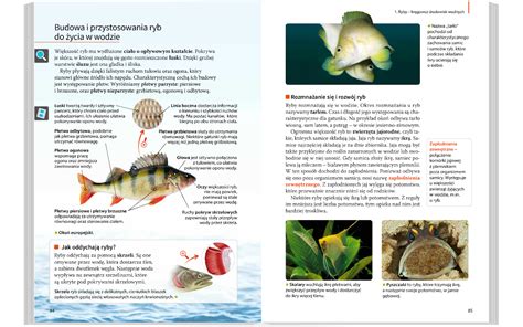 Ko O Biologiczne Poznajemy Gatunki Ryb Powt Rzenie Wiadomo Ci