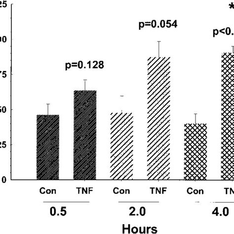 TNF Induces A Time Dependent Increase In DNA Binding Of AP 1 Graph