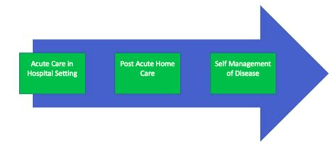 The Role Of Health Information Technology In Post Acute Care Meta Hos