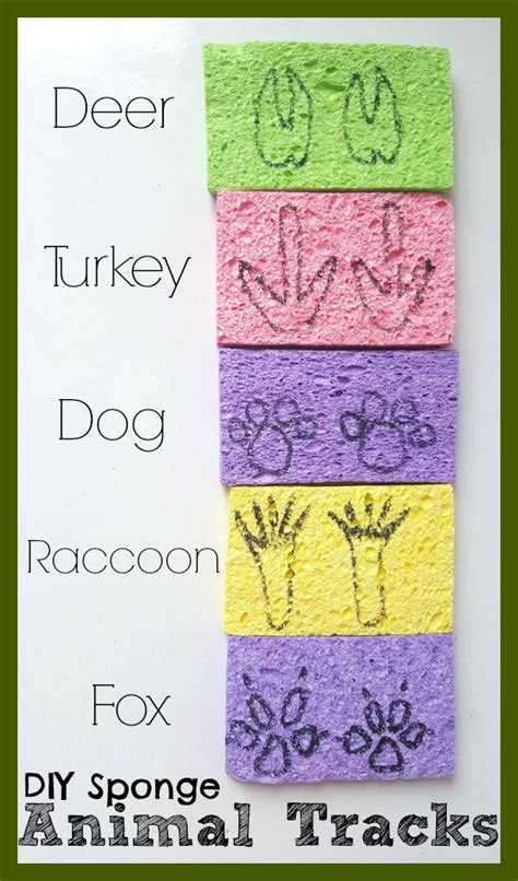 Diy Animal Tracks Activities And Nature Art
