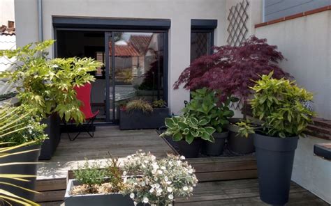 Végétaliser une terrasse à lombre Mon jardin s appelle reviens Bled