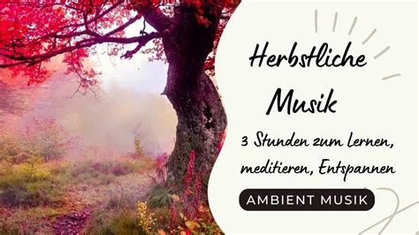 Herbstliches Ambiente 3 Stunden Musik Zum Entspannen Lernen