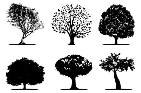 Vektor Baum Silhouette Vektor Baum Illustration Premium Vektor