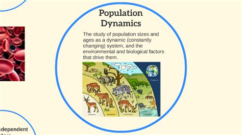 Biology 4 1 4 2 Population Ecology Lessons Blendspace