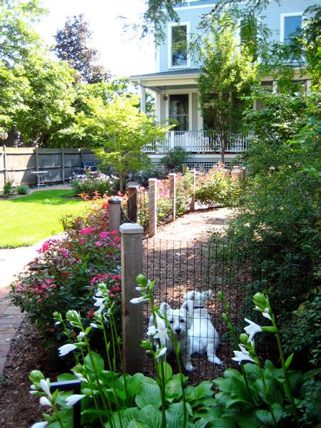 Outdoor Dog Potty Area Inspiration Ideas And Tips