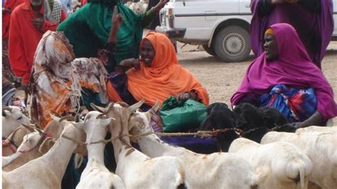 Baafin November Bbc News Somali