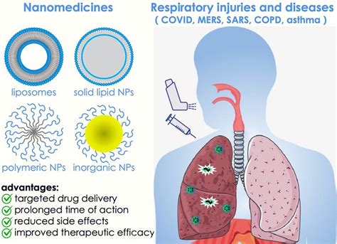 综述：针对呼吸系统损伤的纳米药物在肺部疾病治疗中的应用 东南大学江苏生物实验室