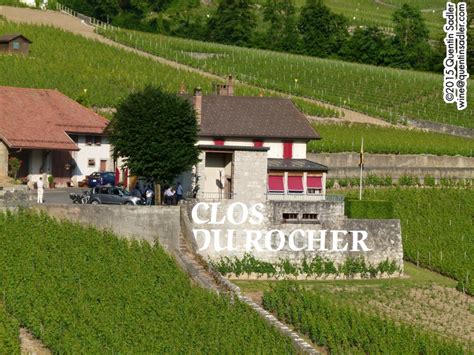 The Chasselas Affair – wine travels in Switzerland | Quentin Sadler's ...