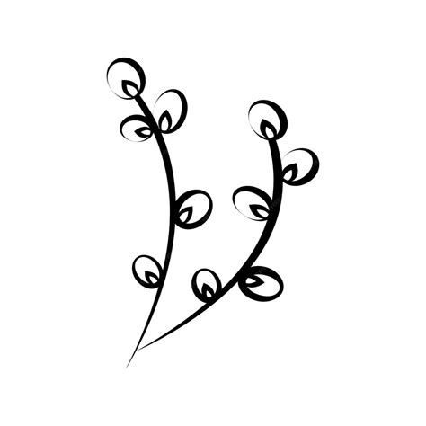 Premium Vector Linear Willow Twig In Doodle Style
