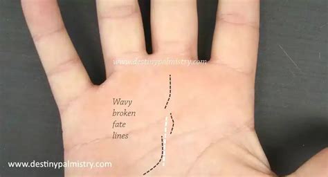 Fate Line Timing Events Scale In Palmistry Destiny Palmistry