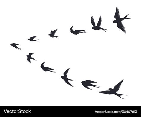 Flying birds flock silhouette swallows sea gull Vector Image