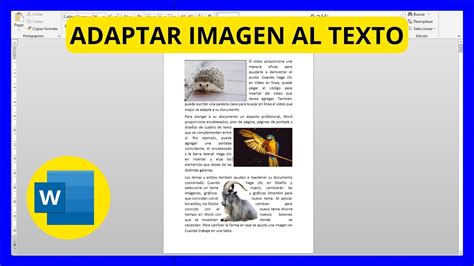 C Mo Insertar Imagen Y Adaptarla A Un Texto En Word Youtube