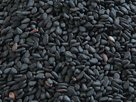 Organic Black Sesame Seeds Manufacturers, Suppliers & Exporters