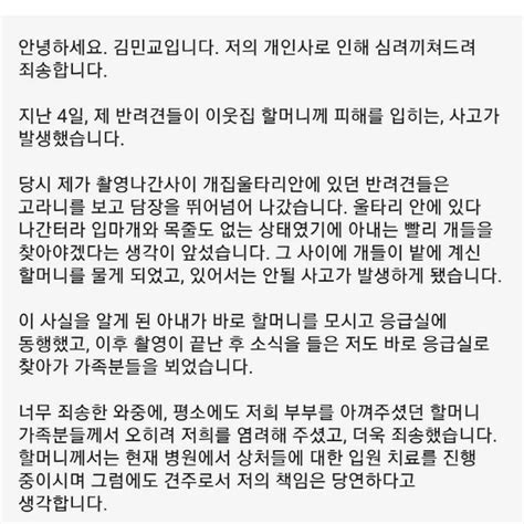 종합 김민교 반려견 80대 여성 습격 사건에 사과 있어서는 안될 사고 견주로서 죄송 전문 네이트 연예