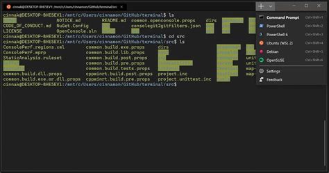 Windows terminal change font - dadbrasil