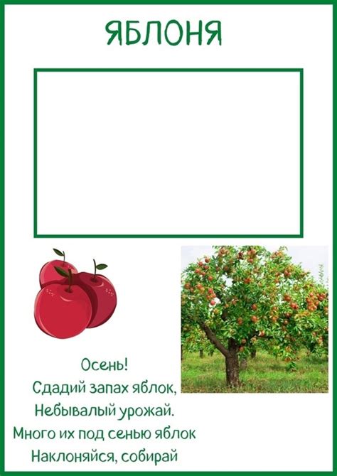 КАРТОЧКИ ДЛЯ ГЕРБАРИЯ поделка №8461 своими руками с мастер-классом