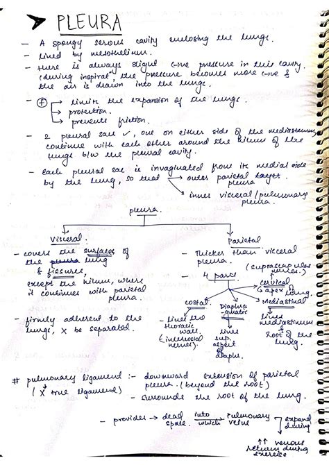 Solution Anatomy Of Pleura Of Lung Studypool