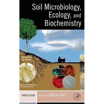 Soil Microbiology And Biochemistry Reli Collectif Achat Livre Ou