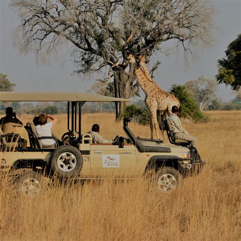 African Safari Truck