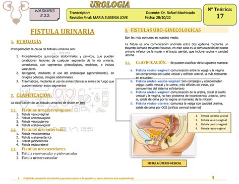 Uro Fistulas Urinarias Contigo Fistulas Urinarias