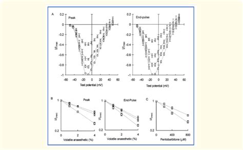 A The Effect Of Halothane Concentration On I V Curves Of Mean Peak And