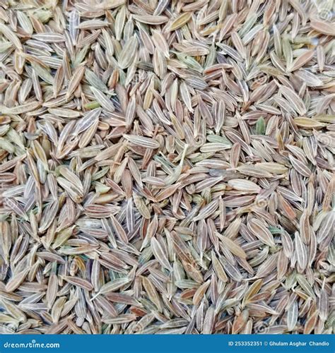 Cumin Seeds Comino Seeds White Sufaid Jeera Safaid Zeera Dry