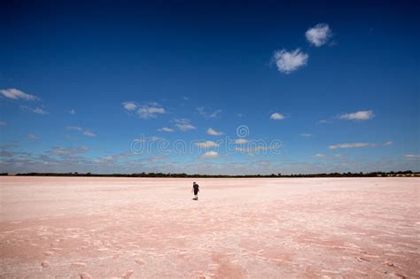 Pink Lake Victoria Australia Stock Image - Image of lochiel, bacteria ...