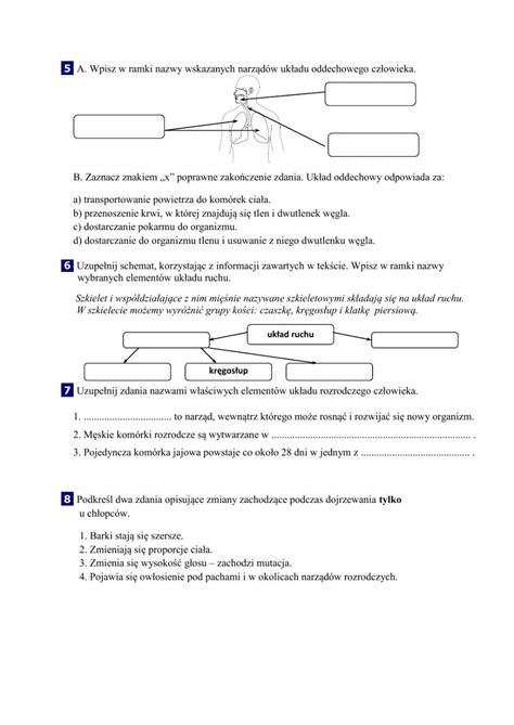 Tajemnice Przyrody Klasa Sprawdziany Odpowiedzi Pdf Artofit