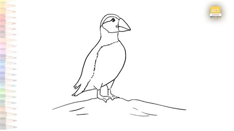 Puffin Drawings Easy Ocean Birds Drawing Tutorials How To Draw A