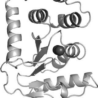 The Thioredoxin Fold And The Classical Dsba Fold A The Structural