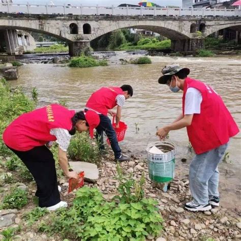 护河爱水，岸绿水清大禾镇开展汛后巡河护河行动河道工作行洪