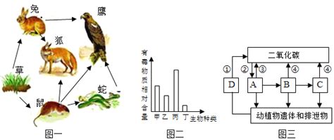 如图图一表示某森林生态系统中的食物链和食物网，图二表示图一中某条食物链各生物体内有毒物质的相对含量，图三表示生态系统中的 12题库