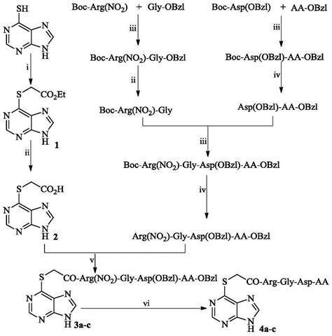 6 乙酰 Arg Gly Asp Aa 巯基嘌呤其合成活性和应用的制作方法